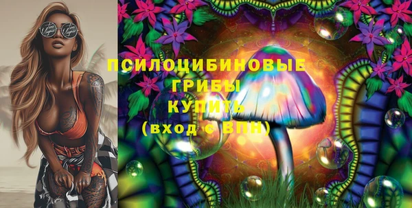 трава Краснослободск